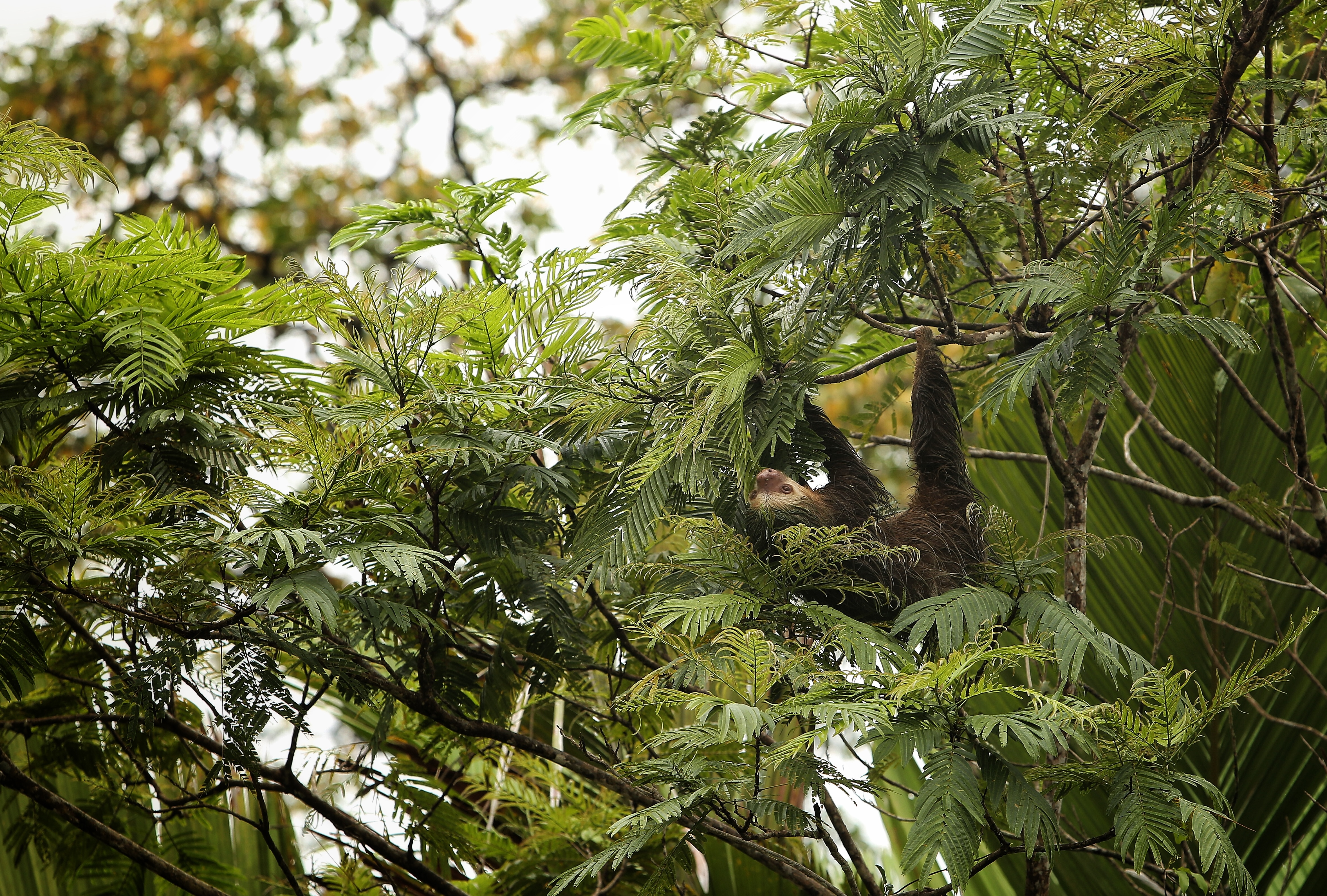 Responsive hero image